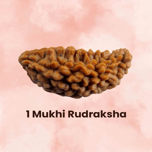 1 Mukhi