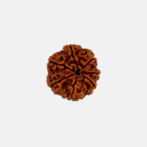 1 Mukhi